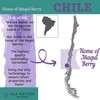 Isla Natura de Chile Capsules of Organic Maqui