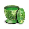 Pajoma Duftkerze UNIQUE ''Under the Palm Tree'', 240 g, Premium