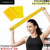 D&M Theraband Training Band for Beginners, 3.3 ft (1 m),