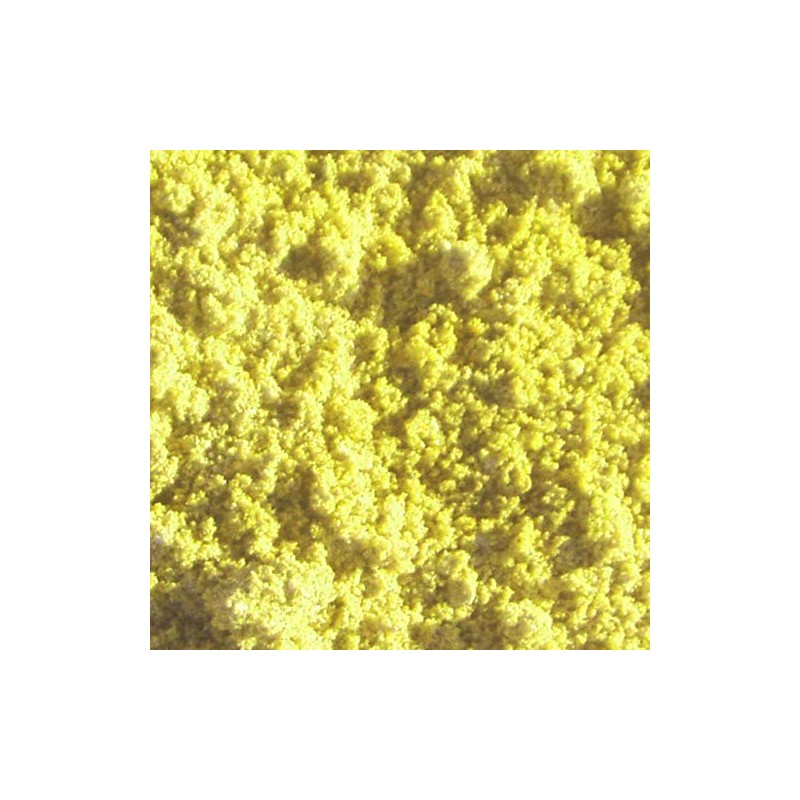 Activa Magic Color Plaster Casting Kits - Camp