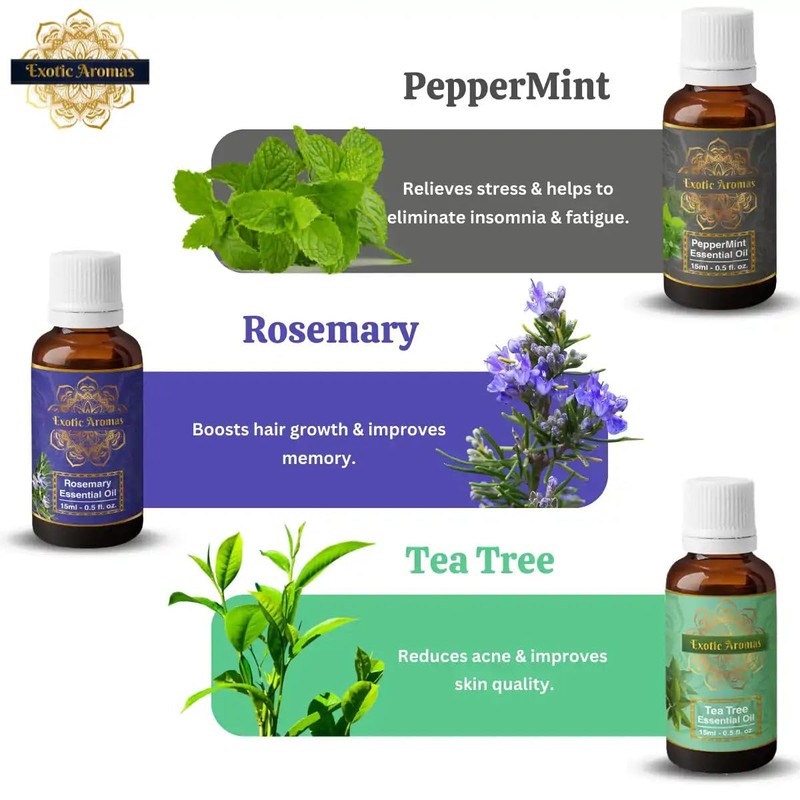 Precious Aromas Essential Oil Lavender Rose Tea Tree Rosemary Jasmine