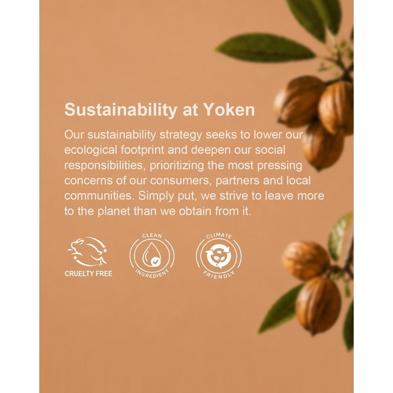 Yoken Shea Butter Hand Cream Gift Set, 6 Soothing Moisturizing