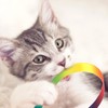 Cobee 3 Packs Cat Wand Toy Set, 30cm Cat Interactive