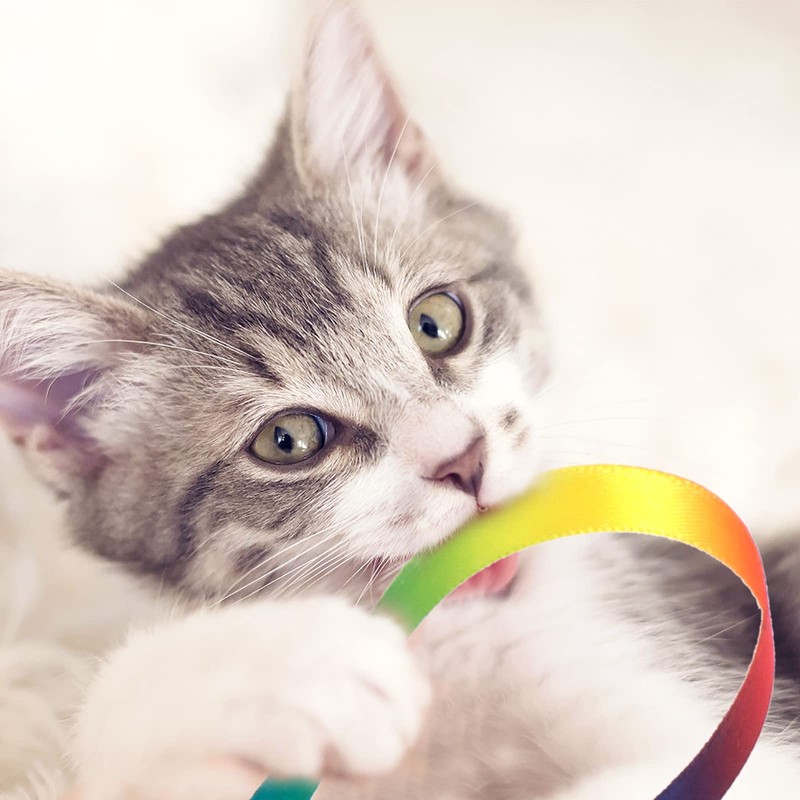 Cobee 3 Packs Cat Wand Toy Set, 30cm Cat Interactive