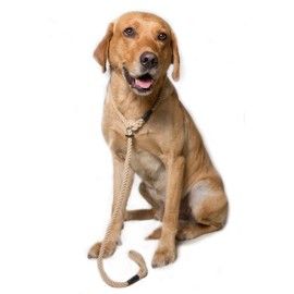 Dog & Field Deluxe Gundog Slip Lead - Natural Brown. Soft Spliced Marine Rope Slip Lead For Dogs With Rubber Stopper, Easy To Slip On, No Collar Or Harness Needed. Training Lead For Dogs, One Size