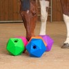 Shires Ball Feeder 9": Green