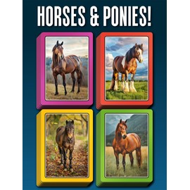 100 PICS SMART CARDS Horses & Ponies, Gift, Stocking Filler, Travel Game, 7 games in 1, Pairs, Snap, Trumps, Rummy, Memory Quiz, Learn Facts, Age 5+, 1-8 Players