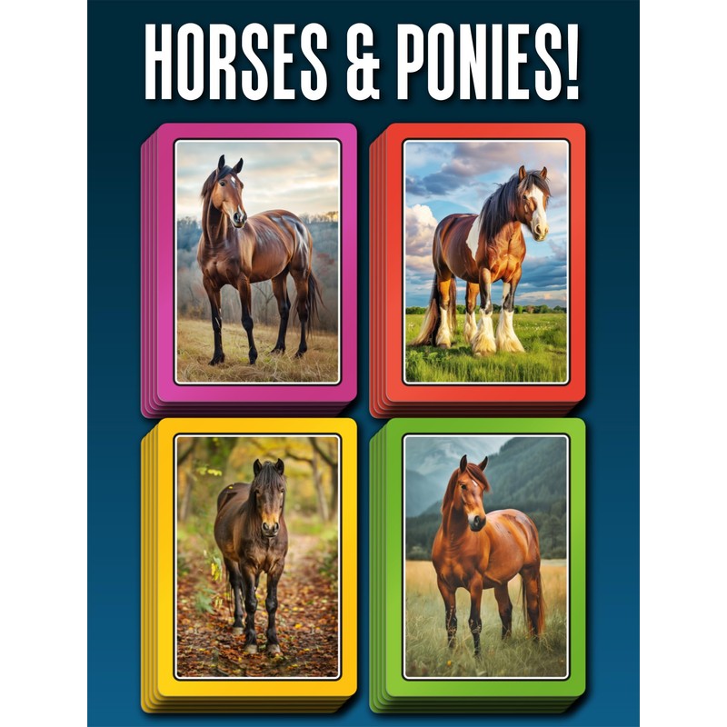 100 PICS SMART CARDS Horses & Ponies, Gift, Stocking Filler,