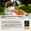 Barkin & Meowson Flea & Tick Dog Shampoo with Citronella,