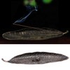 Leaf and Snail Incense Burner, Incense Holder Leaf with Snail