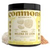 COMMONS Hongo Melena de León Lions Mane Suplemento Natural