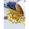Natural Life DHA EPA High Content, Omega 3, 1,000 mg