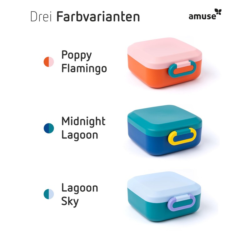 Amuse Rikko Children's Lunch Box Set with Compartments Bento Box
