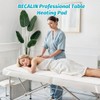 Massage Table Warmer Heating Pad Professional SPA Massage Bed Warmer