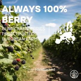 Whole Black Freeze Dried Raspberries 3.2 Ounce Bag - Dried Fruit Healthy Snacks for Kids, Dehydrated Raspberry for Baking & Decoration - No Sugar Added Freeze Dried Raspberry Powder from Black Berry