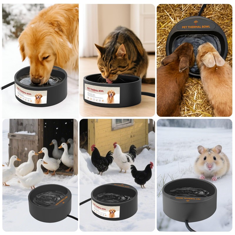 Billionchains Dog Heated Water Bowl for Outdoor No Freeze Water