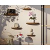 QsQueen Solid Wood Half Round Floating Wall Shelves | Elegant