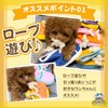 Wanmaru Shoten Prank Sneakers, Dog, Toy, Chewing, Plush Shoes, Sounds,