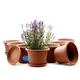 BigDean Pack of 8 Flower Pots with Saucers, Round, Diameter 25 cm, Terracotta, Weatherproof Planter, Made in Europe