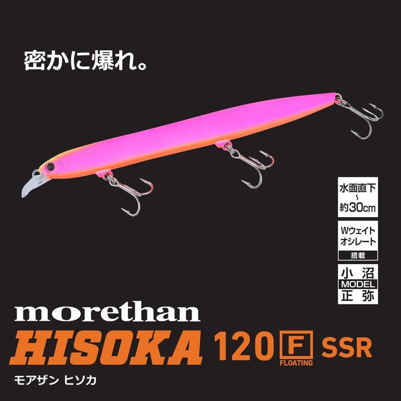 Daiwa Sea Bass Lure Morethan Hisoka 120F-SSR Orange Pearl Gigo