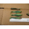 Big Bite Baits 2pks BLUEGILL 4" PADDLE TAIL SWIM MINNOWS