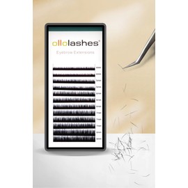 Eyebrow Extensions EI Curl 0.15mm Mix4-8mm 4mm 5mm 6mm 7mm 8mm Black Color (Black Mix4-8mm 0.15 EI Curl)