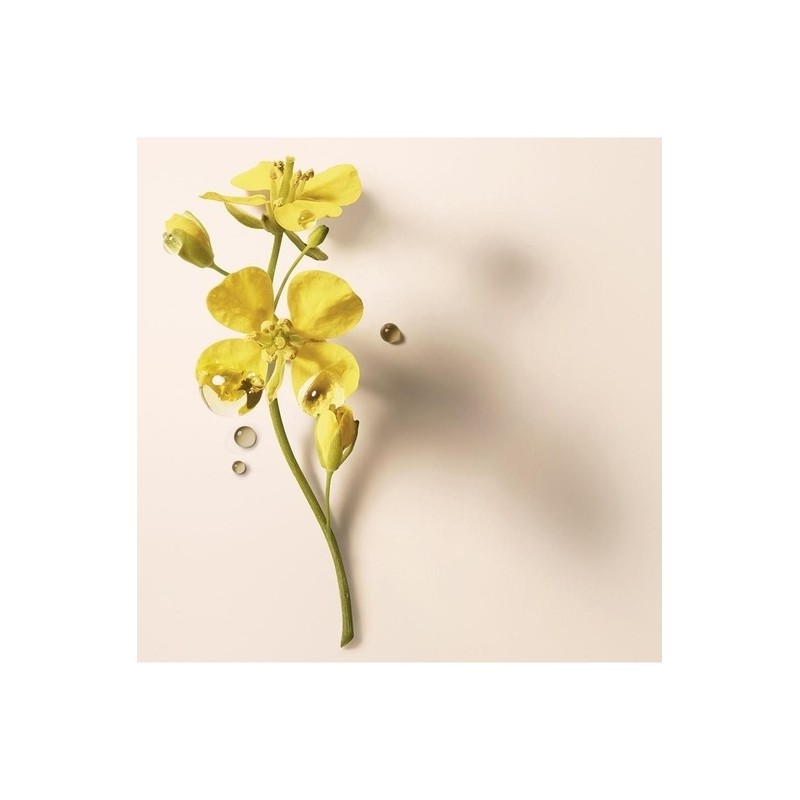 Absolue Keratin Damage Repair Essence 100ml / 압솔뤼 케라틴 데미지