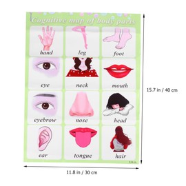 COHEALI Interactive English Learning Toy Preschool Alphabet Wall Chart Educational Children's Wall Poster