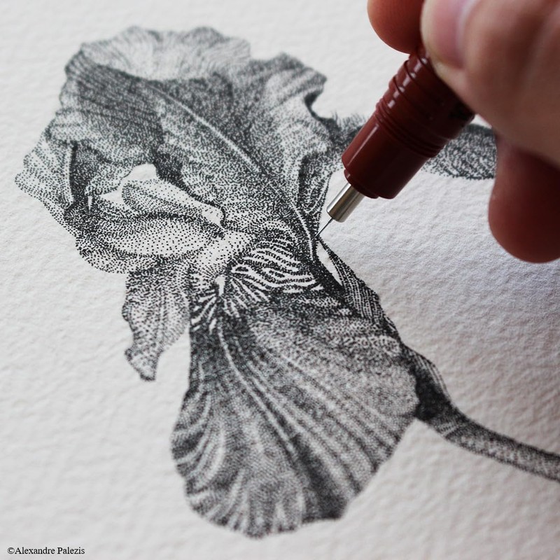 rOtring 1903399 Isograph Drafting Pen, 0.01 inch (0.3 mm), Genuine