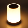 Touch Night Light USB Charging Timing RGB Color Changing Hangable