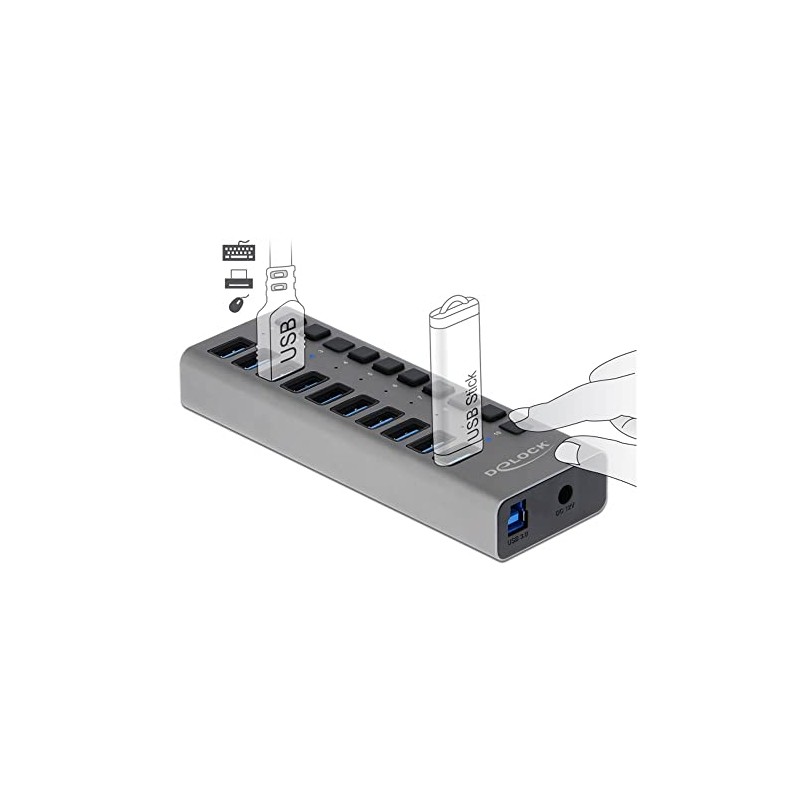 Delock 63670 External SuperSpeed USB Hub with 10 Ports +