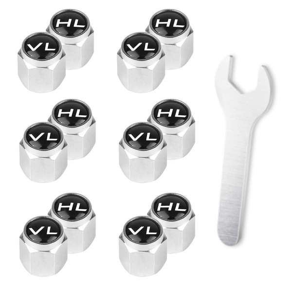 Zonoori Pack of 12 Car Valve Caps with Lettering, Metal