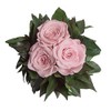 ROSEMARIE SCHULZ Heidelberg Preserved Flowers in Silver Cup 3 Infinity