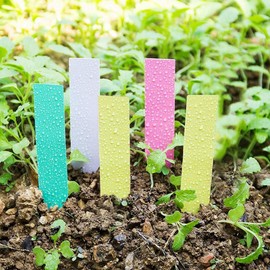 Etiquetas de plantas, 100 etiquetas de plástico para plantas, impermeables, marcadores de nombre de jardín, estacas de identificación de semillas de plantas, para cultivar semillas en maceta, árbol frutal, flor vegetal (blanco)
