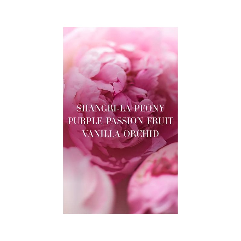 Victoria's Secret Bombshell Mini Fragrance Duo Gift Set, Eau de