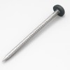 40mm Poly Top Pins / Nails (Pack of 250) Stainless