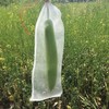 AIMALL 100x/Set Fruit Fly Protection Bags Exclusion Net Storage Mesh