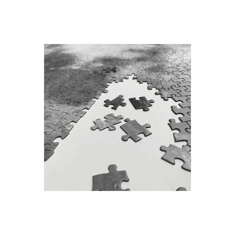 Rompecabezas De Luna De 1000 Piezas Juguetes Antiestres