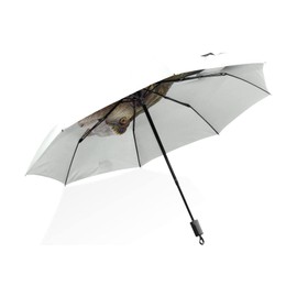 Poeticcity Dinosaur Out of a White Ripped Paper Unisex Manual Folding Rain Umbrella, Foldable Durable Sun Parasol, Collapsible Compact Windproof Portable Umbrellas for Travel