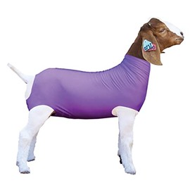 Show Pro Purple Spandex Goat Tube for Show Goats - Show Livestock Supplies: Goat Covers & Blankets (Large)