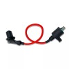 Hammerhead RACING IGNITION COIL FOR HAMMERHEAD CARTER JOYNER KANDI 250CC