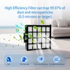 Replacement Parts Roller Brush & HEPA Filter Foam & Felt