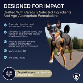 NutraRegen Select Digestive Probiotic Powder for Senior Dogs – Supports Digestion, Gut Health & Regularity – 7 Bn CFU, 30 Scoops