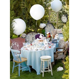 Talking Tables Truly Alice Disposable Plates, 12 Count, 7.3 inches for Tea Party or Birthday