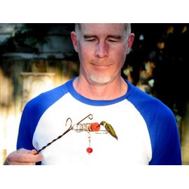 Songbird Essentials Whimsy Wand Hand Held Hummingbird Feeder