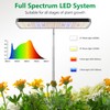 Aumtrly Plant Lights for Indoor Growing, Full Spectrum Grow Light