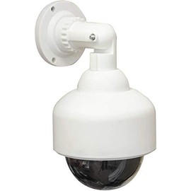 Eagle Dummy Dome Surveillance Camera