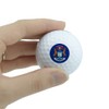 GRAPHICS & MORE Michigan State Flag Novelty Golf Balls 3