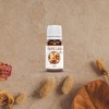 Aroma Depot Fall Fest Collection – Autumn Set of 6