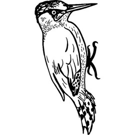 Azeeda A8 'Woodpecker' Unmounted Rubber Stamp (RS00021622)
